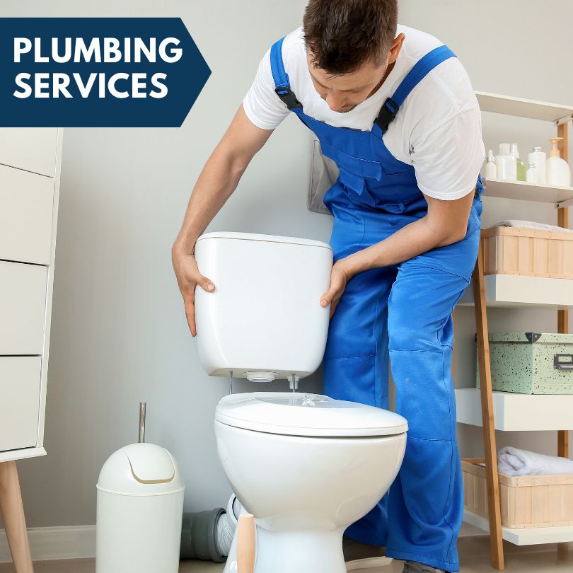 Plumbing Company in Preemption, IL